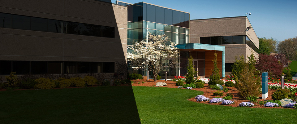 Murrieta Landscapers