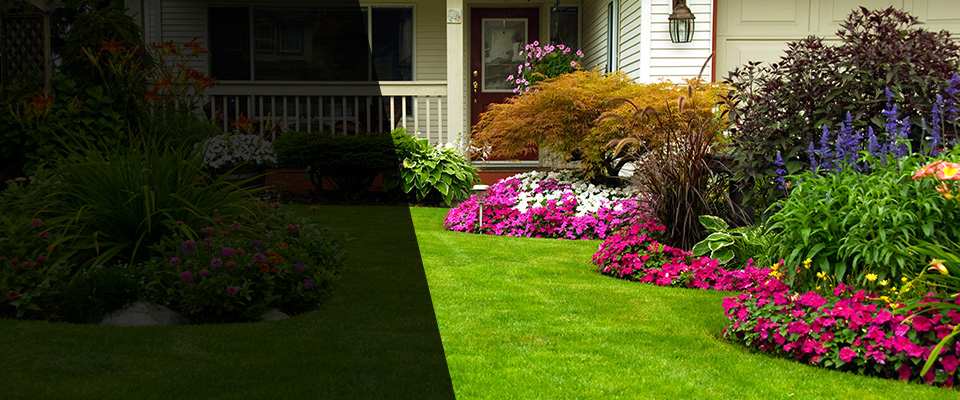 Murrieta Landscapers