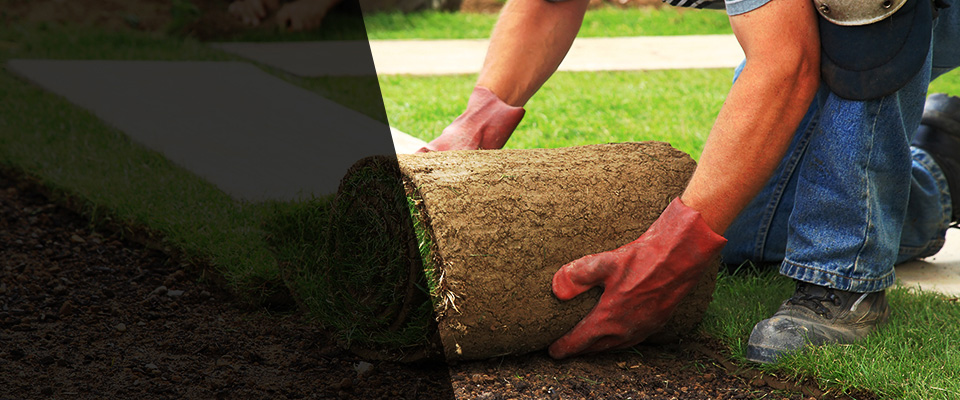 Murrieta Landscapers